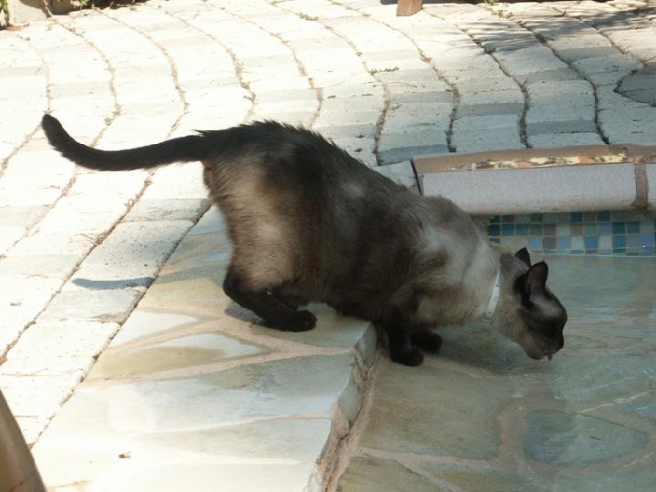Fripouille 030.jpg